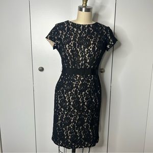 Taylor Lace Illusion Cocktail Party Dress